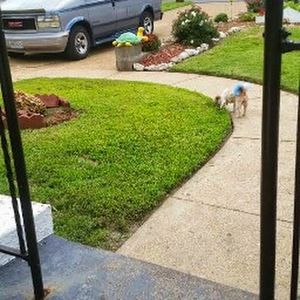 Meet your Posher, Connie